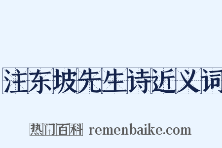 注东坡先生诗近义词是什么意思的图片